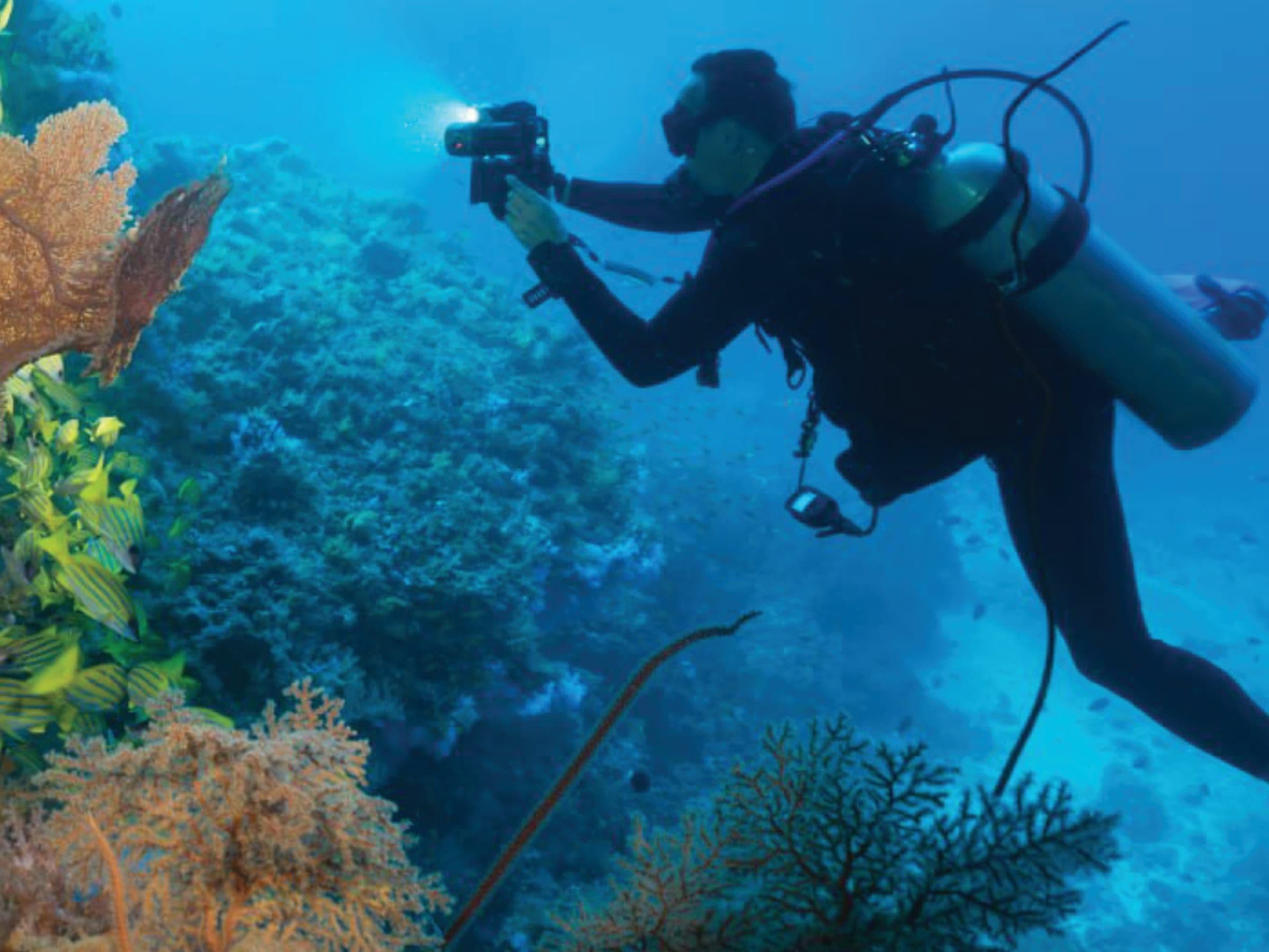 Scuba Diving